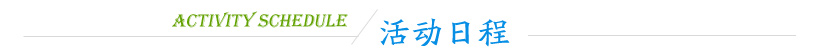 活动日程